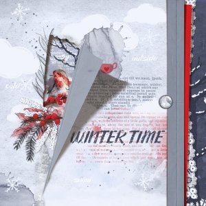 MOC13-22 Winter time
