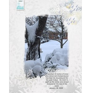 Jan28_Light-Colors_flowersgal_sq_web.jpg