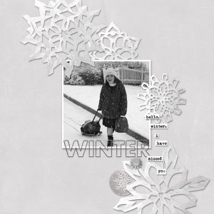 hello winter MOC13