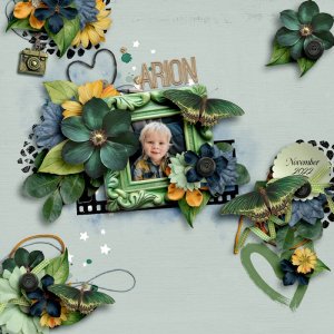 Arion