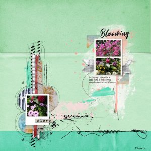 Blooming