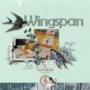 MOC 13 - 27 - Wingspan