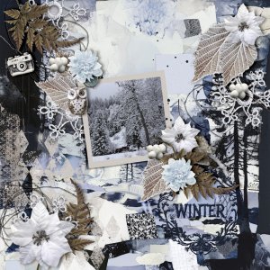 260125_snow.jpg