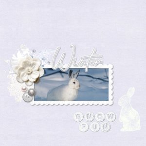 winter rabbit.jpg
