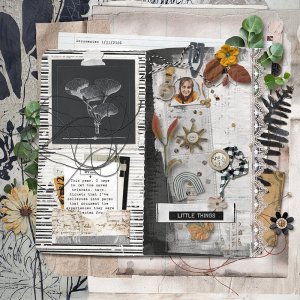 Jan-30---Page-Within-a-Page.jpg