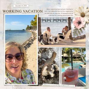 Day 26: Working Vacation