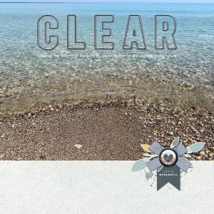 CLEAR (MOC2026-18 What's in a Word)