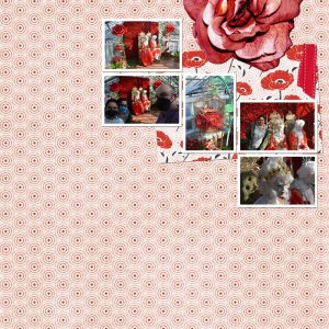 Feb-2026-TLP-Inspiration.jpg