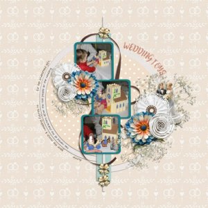 Wedding Toys