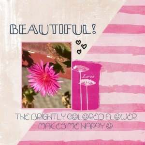 Beautiful Flower 8x8 72.jpg