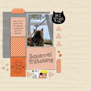 Squirrel Watching.jpg