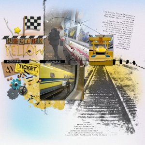 ScrapLikeKaren -the track doctor