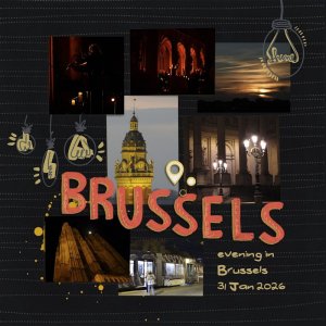 260131_Bruss night.jpg