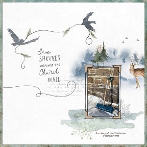 Snow Shovels