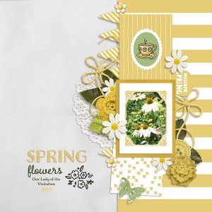 Spring Flowers