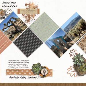 Joshua Tree