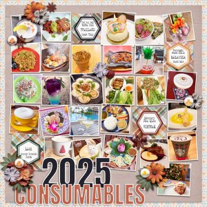 MOC13-21_YearInReview_2025Consumables.jpg