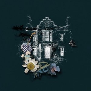 Home in the night