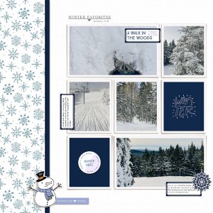 winter wonderland