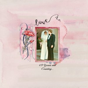 Love - 49 Years and Counting.jpg