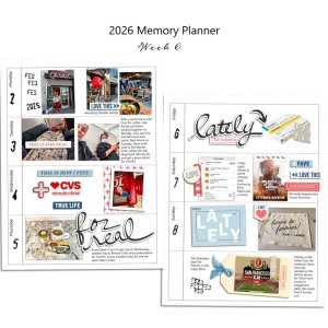 Week 6 Memory Planner