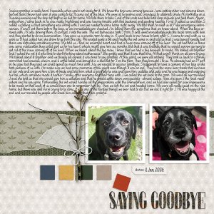 Saying Goodbye