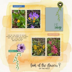 scrapchyck-Flowers-of-the-Field.jpg