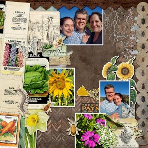 sunflowers.jpg
