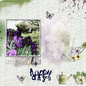 Iris