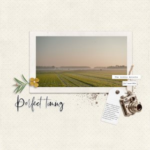 March-Photography-Challenge