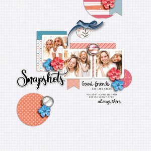 Snapshots