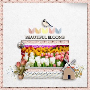 Beautiful Blooms
