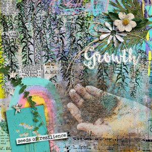 Growth