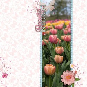 beauty in bloom
