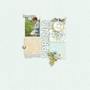 sahlinstudio_springstories