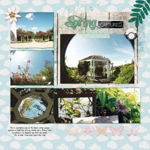 springtime 2008