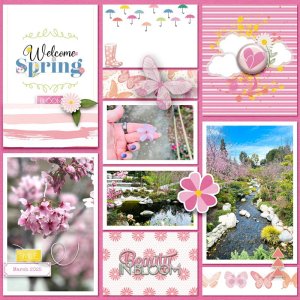 Beauty in bloom.jpg