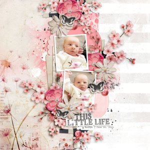 this little life