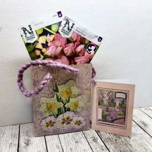 Gift bag with card 2
