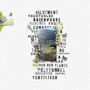 Allotment