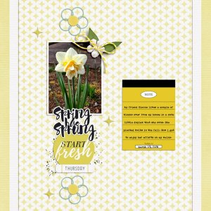 scrapchyck-Spring-Has-Sprung.jpg