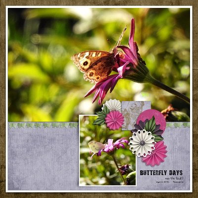 BUTTERFLY DAYS