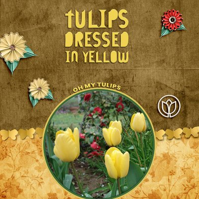 Tulips