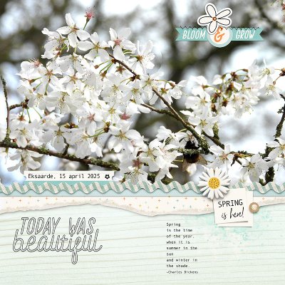 April-Scraplift-Challenge