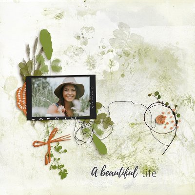 A beautiful Life