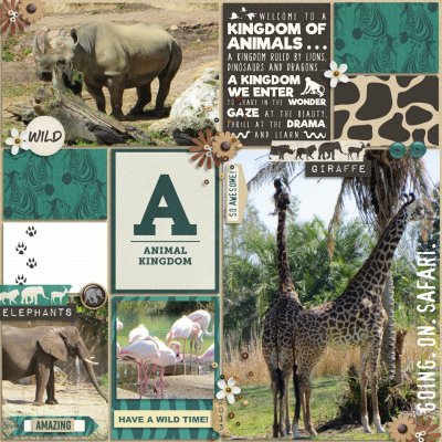 Animal Kingdom