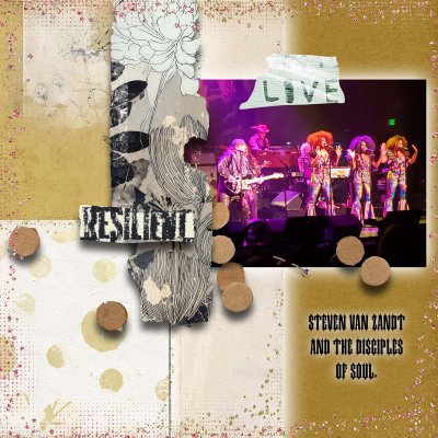 Steven Van Zandt and the Disciples of Soul Live Soul Fire.jpg