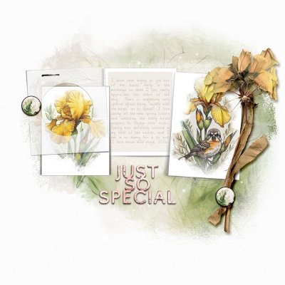 Just So Special