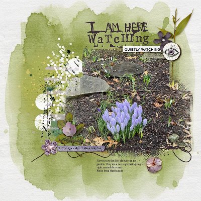 Watching for Signs of Spring