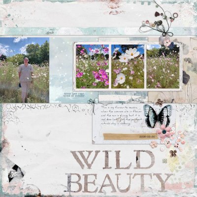 WildBeauty